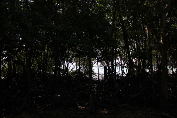 Фотография квеста «Туда и обратно»