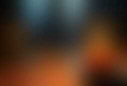 Фотография квеста-анимации Иван-царевич и гепард от компании Свой гид (Фото 1)