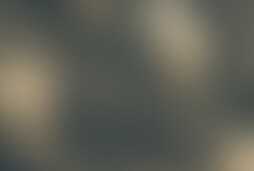 Фотография квеста-анимации Золушка от компании Свой гид (Фото 1)