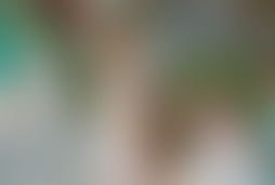 Фотография городского квеста Белая жемчужина от компании Квесты тут (Фото 1)