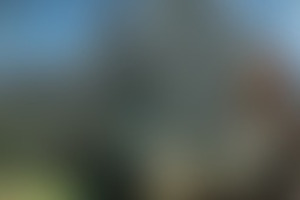 Фотография VR-квеста Elven Assassin от компании VR Center (Фото 1)