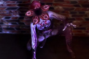 Фотография квеста Очень странные дела от компании Тайная комната (Фото 2)