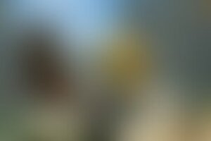 Фотография VR-квеста Delete23220 от компании Delete (Фото 2)