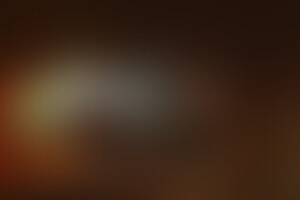 Фотография перформанса Сиамские близнецы от компании Quest Story (Фото 2)