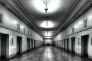 Фотография перформанса Паразит от компании Questx (Фото 1)