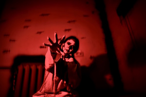 Фотография перформанса Взаперти от компании Questland (Фото 3)