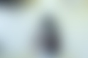 Фотография перформанса Звонок от компании Ёжик в тумане (Фото 2)
