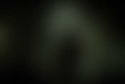 Фотография квеста Слезы подопытных от компании Норма (Фото 1)